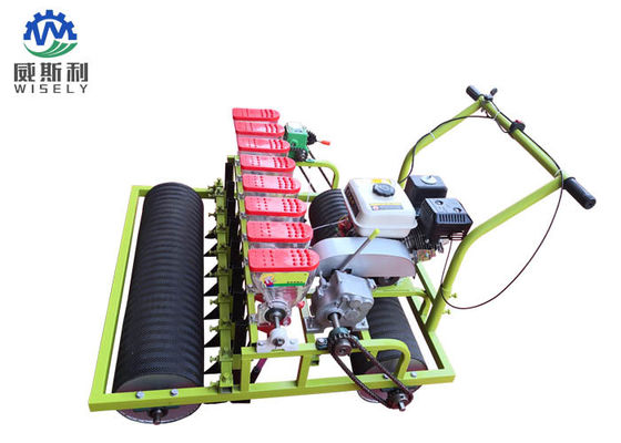 China Benzinemotor 8 rijen groene salade plantmachine Machines gebruikt in de landbouw leverancier